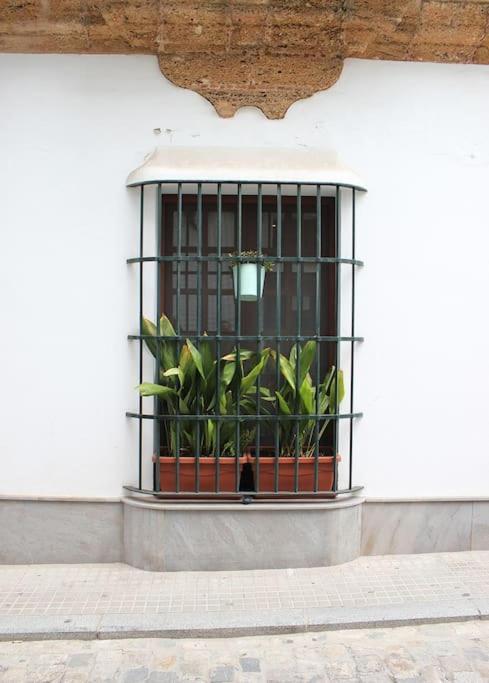 Fancy Apartment In A Historic House, Chiclana City Center By C. Dreams Chiclana de la Frontera Exterior photo